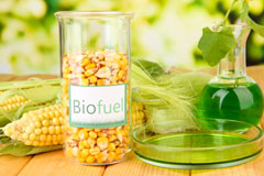 Tye biofuel availability