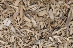 biomass boilers Tye